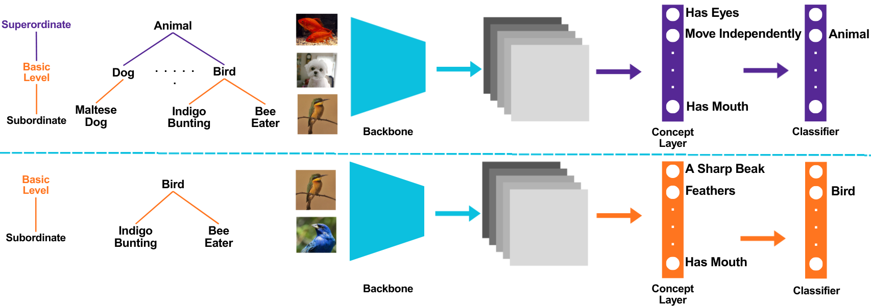 Concept learning across superordinate, basic, and subordinate levels of abstraction