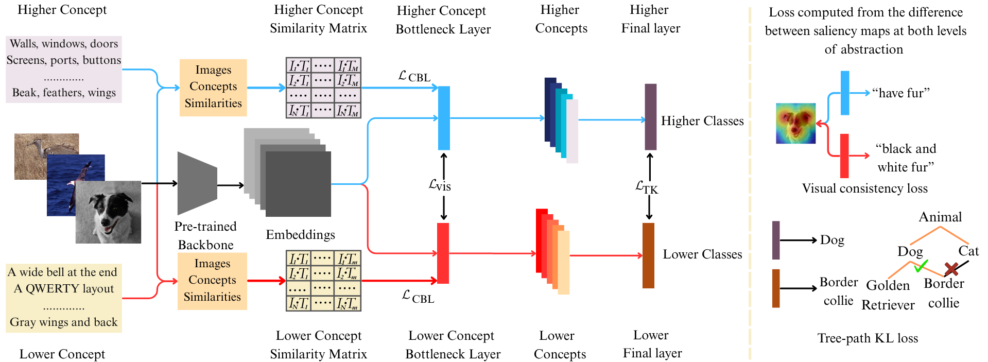 Architecture diagram of the Hierarchical, Interpretable, Label-Free Concept Bottleneck Model